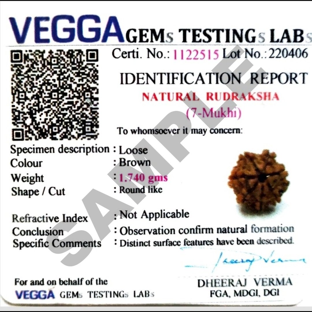 Certified Mukhi Rudraksha Natural With Lab Test Certificate My