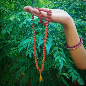 Rudraksha Mala 108 Beads Original