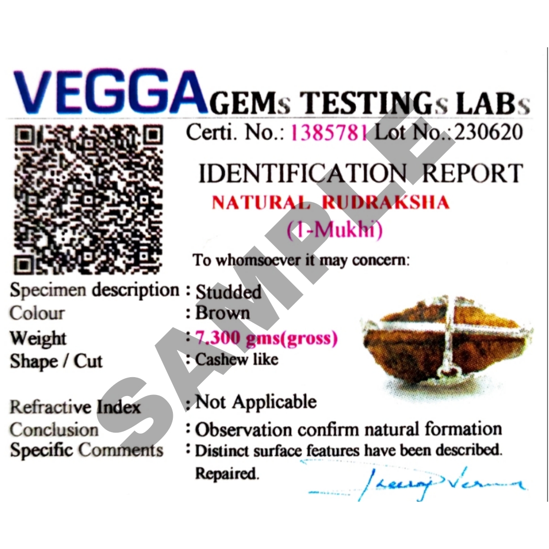 Certified 1 Mukhi Rudraksha 100% Natural with Lab Test Certificate 1 Mukhi Origional Rudraksha