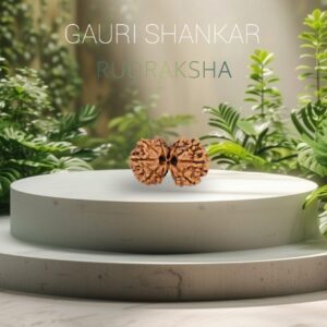 Original Nepali gauri Shankar Rudraksha