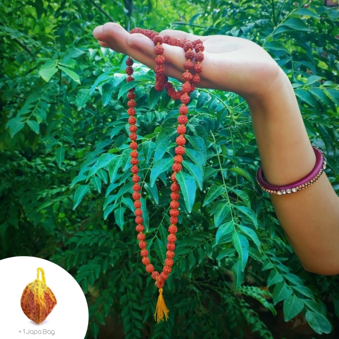 Certified Rudraksha Mala Original (108 Beads) with Japa Bag for Pooja and Wearing for Men and Women (S) with Lab Test Certificate Certified Mala with Japa bag