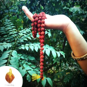 Certified Rudraksha Mala Original (108 Beads) with Japa Bag for Pooja and Wearing for Men and Women (M) with Lab Test Certificate