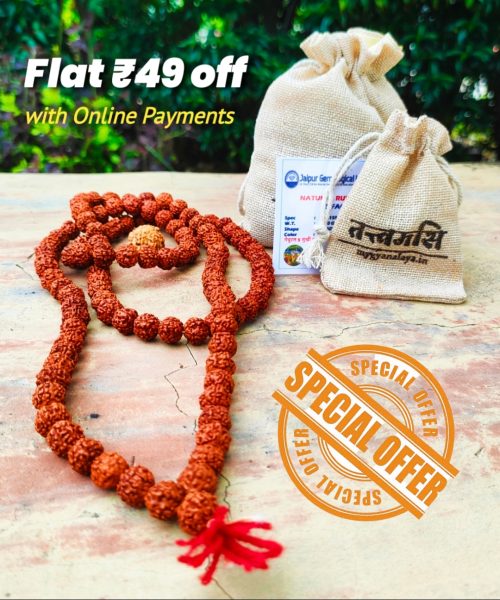 Nepali Rudrakshs Mala